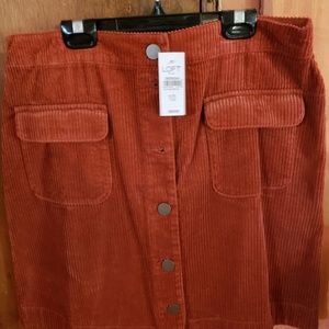 Brand New Loft burnt orange skirt